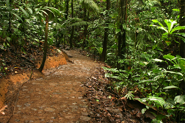 Reserva Natural Almejal 5