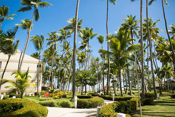Hotel Vista Sol Punta Cana 2