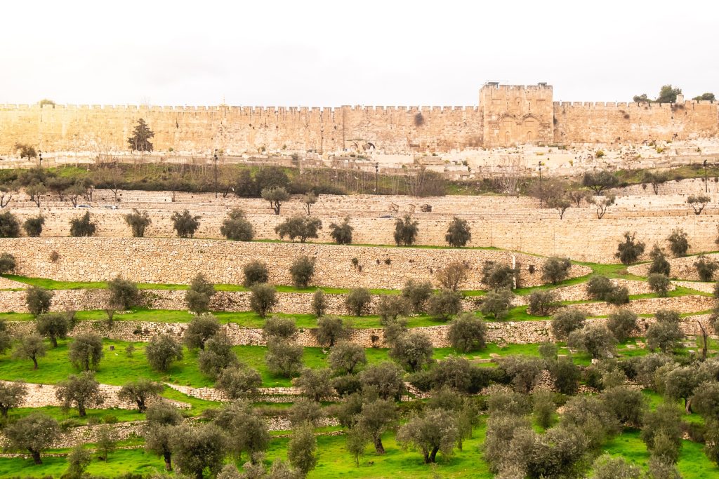 Monte de los Olivos en Jerusalén