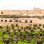 Monte de los Olivos en Jerusalén